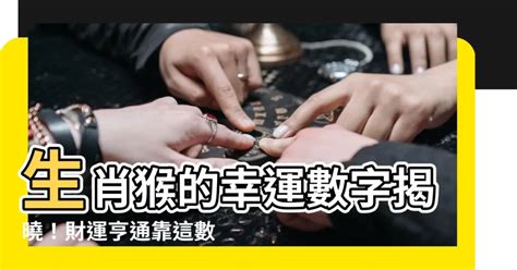 猴子代表數字|屬猴人永久最幸運數字，最幸運顏色，建議用上有好運